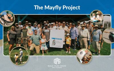 THE MAYFLY PROJECT