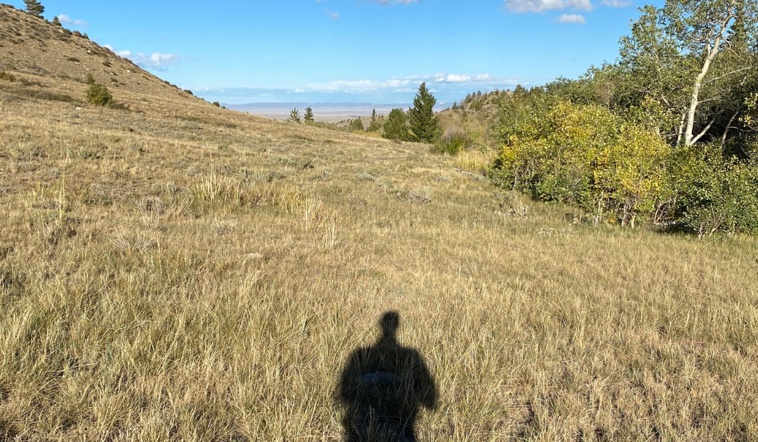 ME, MY SHADOW, AND NATURE