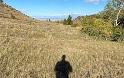 ME, MY SHADOW, AND NATURE